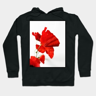 Red Poppies Hoodie